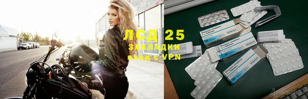 индика Ельня