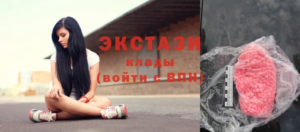 индика Ельня