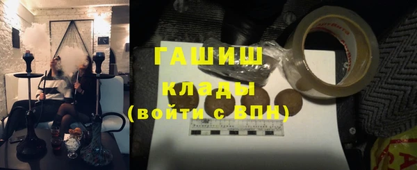 индика Ельня