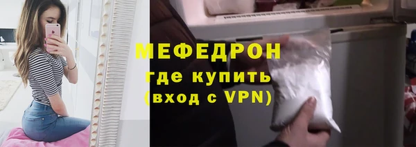 индика Ельня