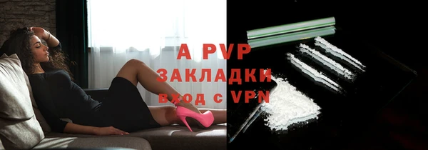 индика Ельня