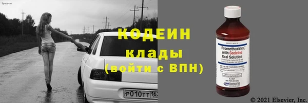 индика Ельня
