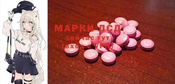 индика Ельня
