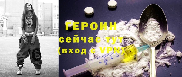 индика Ельня