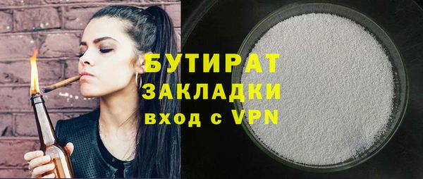 индика Ельня