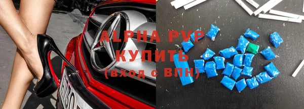 индика Ельня