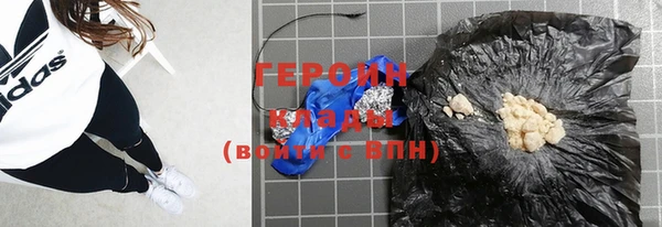 индика Ельня
