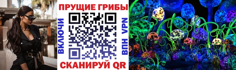 Псилоцибиновые грибы прущие грибы  Купить где  Сибай 