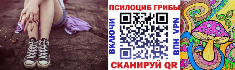 Псилоцибиновые грибы Cubensis Сибай